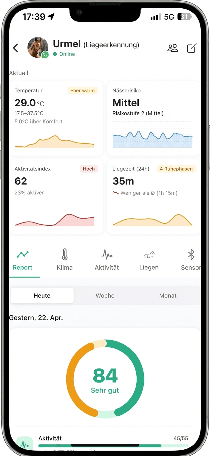 Equivise App