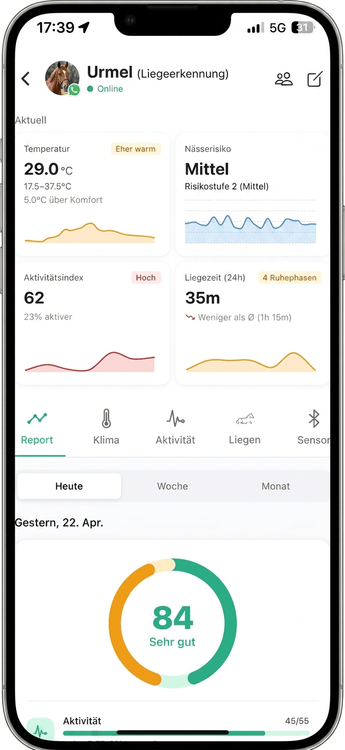 Equivise App